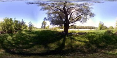 4K 360 VR Bir nehrin Sanal Gerçekliği Altay Rusya dağları ormanları ve çayırlarındaki bu güzel manzarada kayaların üzerinden akıyor