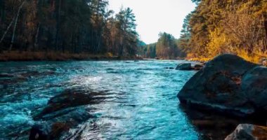 4K UHD dağ nehri zaman dilimi yaz ya da sonbahar saatlerinde. Vahşi doğa, berrak su ve her zaman yeşil olan kırsal vadi. Güneş ışınları, küçük dere ve sarı otlar. Motorlu doli kaydırma hareketi