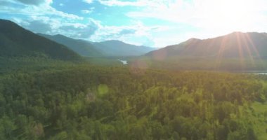 4K hava görüntüsü. Güneşli bir yaz akşamında sonsuz dağ ormanları olan sonsuz yeşil çam ağacı manzarasının üzerinde alçak uçuş. Ufuktaki güneş ışınları. Hızlı yatay hareket. Vahşi doğa.