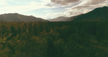 4K hava görüntüsü. Güneşli bir yaz akşamında sonsuz dağ ormanları olan sonsuz yeşil çam ağacı manzarasının üzerinde alçak uçuş. Ufuktaki güneş ışınları. Hızlı yatay hareket. Vahşi doğa.