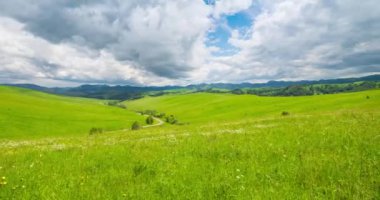 Yaz ya da sonbahar mevsiminde dağdaki çayır zaman atlaması. Vahşi doğa ve kırsal alan. Hızlı bulut hareketleri, yeşil çimenler ve güneş ışınları. Motorlu Panorama