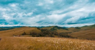 Yaz ya da sonbahar mevsiminde dağdaki çayır zaman atlaması. Vahşi doğa ve kırsal alan. Hızlı bulut hareketleri, yeşil çimenler ve güneş ışınları. Motorlu Panorama