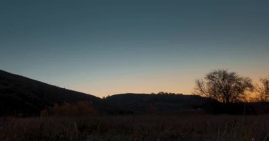 4k dağ çayırı yaz ya da sonbahar gündoğumu saatlerinde zaman atlaması. Vahşi doğa ve kırsal alan. Açık gökyüzü, ağaçlar, yeşil ve sarı çimenler, ufukta güneş ışığı. Motorlu kaydırma hareketi.