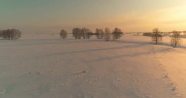 Soğuk kış kutup bölgesinin insansız hava görüntüsü, ufukta karla kaplı ağaçlar, buz nehri ve güneş ışınları. Aşırı düşük sıcaklık havası. Sibirya