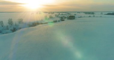 Soğuk kış kutup bölgesinin insansız hava görüntüsü, ufukta karla kaplı ağaçlar, buz nehri ve güneş ışınları. Aşırı düşük sıcaklık havası. Sibirya