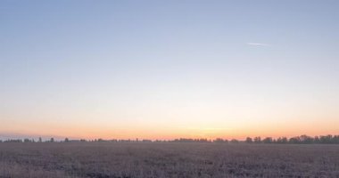 4K UHD düz tepe çayırlık zaman dilimi yaz gündoğumu zamanı. Vahşi doğa ve kırsal çimler. Güneş ışınları ve yeşil ağaçlar. Motorlu doli kaydırma ve panorama hareketi
