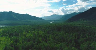 4K hava görüntüsü. Güneşli bir yaz akşamında sonsuz dağ ormanları olan sonsuz yeşil çam ağacı manzarasının üzerinde alçak uçuş. Ufuktaki güneş ışınları. Hızlı yatay hareket. Vahşi doğa.