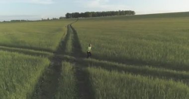 Sportif bir çocuğun havadan çekimleri buğday tarlasından geçiyor. Kırsal çayırlarda akşam sporu alıştırmaları. Mutlu bir çocukluk sağlıklı bir yaşam biçimidir. Açık havada koşma transferi. Radikal hareket, güneş