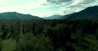 4K hava görüntüsü. Güneşli bir yaz akşamında sonsuz dağ ormanları olan sonsuz yeşil çam ağacı manzarasının üzerinde alçak uçuş. Ufuktaki güneş ışınları. Hızlı yatay hareket. Vahşi doğa.