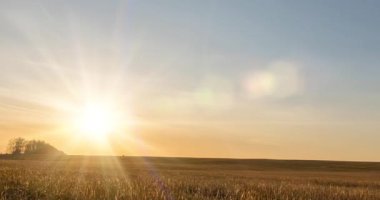 Sonbahar günbatımında 4K düz çayır zamanı. Vahşi doğa ve kırsal çimler. Güneş ışınları ve sarı çimenler. Motorlu doli kaydırma ve panorama hareketi