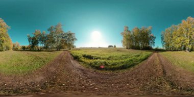 360 VR genç huş ağaçlarıyla dolu düz alanda yeşil ve sarı orman. Canlı otlarla dolu alan küçük çalılara yakındır. Yazın ya da sonbaharda güneşli bir günde çayırda. Kırsal yol.
