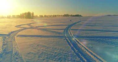 Arktik çayırlı soğuk kış manzarası, karla kaplı ağaçlar ve ufukta sabah güneşleri. Aşırı hava.
