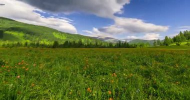 Yaz ya da sonbahar mevsiminde dağdaki çayır zaman atlaması. Vahşi doğa ve kırsal alan. Bulutların hareketi, yeşil çimenler ve güneş ışınları. Motorlu Panorama