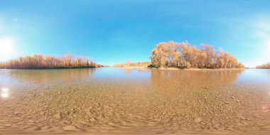 Genç huş ağaçları ve çimlerle dolu 360 VR Mountain nehir kıyısı ve yerde yapraklar. Soğuk kumlu dereler, hafif bir esinti ve düşen yapraklar parlak bir güneşe ve derin mavi gökyüzüne karşı. Kamera içeri.