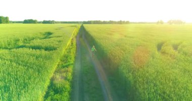 Kırsal yoldaki bir çim tarlasında bisiklet süren genç bir çocuğun hava manzarası. Sıcak güneş ışığı ve ışınlar ile yaz zamanı çayırı. Sağlıklı çocukluk kavramı.