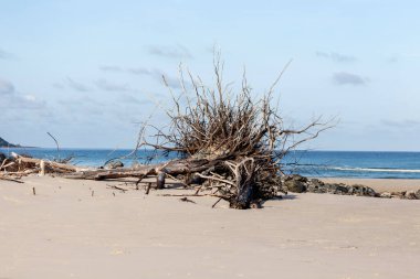 Banyan Tree Tayland atış
