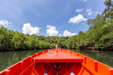Sightseeing cruise around the mangrove forest at Koh Kood, Thailand