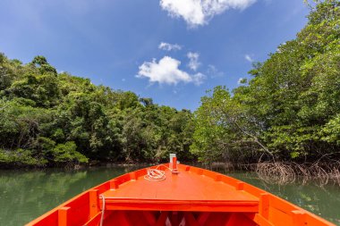 Sightseeing cruise around the mangrove forest at Koh Kood, Thailand