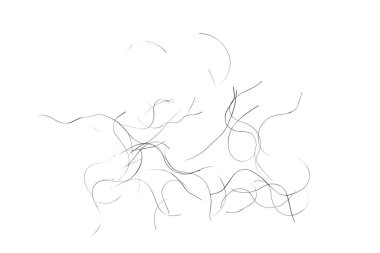 pubic hair fall isolated on white background