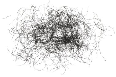 pubic hair fall isolated on white background