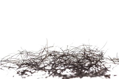 pubic hair fall isolated on white background