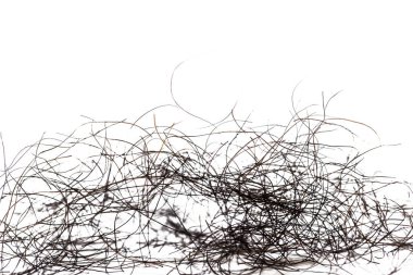 pubic hair fall isolated on white background