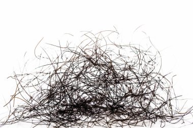 pubic hair fall isolated on white background