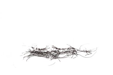 pubic hair fall isolated on white background