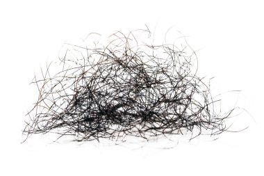 pubic hair fall isolated on white background