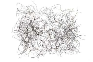 pubic hair fall isolated on white background