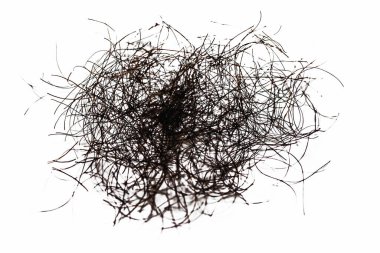 pubic hair fall isolated on white background