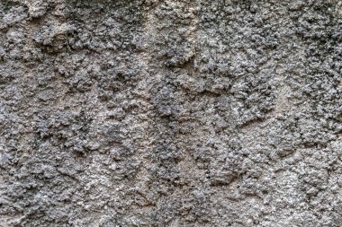 wall with rough plaster surface