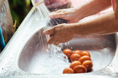 human hand washing chicken eggs with water