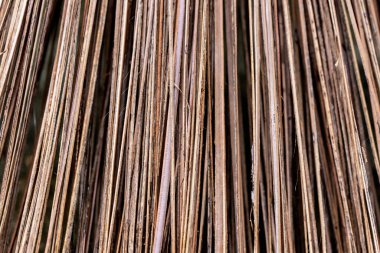 The stalks of coconut leaves are used to make brooms.