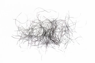 pubic hair fall isolated on white background