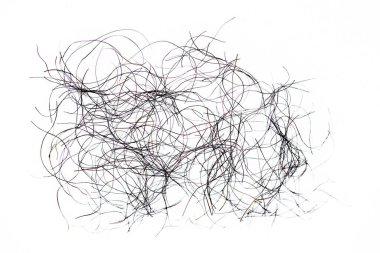 pubic hair fall isolated on white background