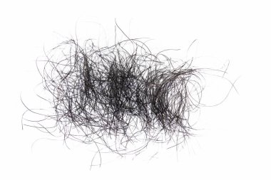 pubic hair fall isolated on white background