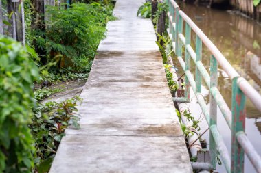 small path along the canal