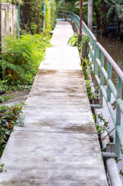 small path along the canal