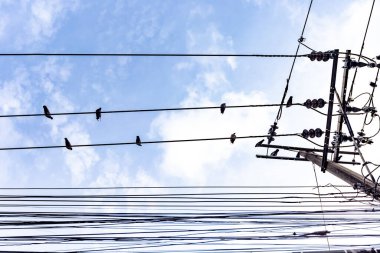 The high-voltage cables are tangled in a mess.