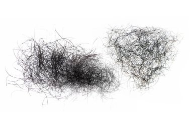 pubic hair fall isolated on white background