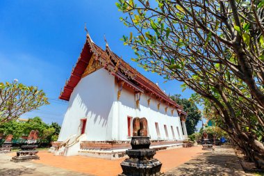 Tayland 'ın Nonthaburi ilindeki Wat khang khao (Yarasa Tapınağı)