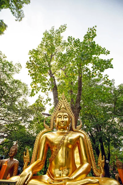 Den Gyllene Gula Buddha Bilden Sitter För Människor Att Dyrka — Stockfoto