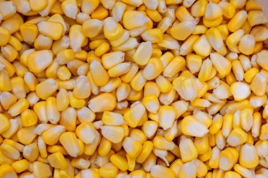 Tatlı mısır, yüksek miktarda besin ve lif içeren bir bitkidir..