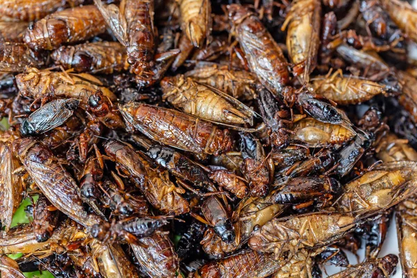 Stekt Insekter Buggar Stekt Gata Mat Thailand — Stockfoto