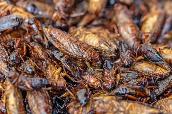 タイの屋台で揚げ昆虫 バグ揚げ — ストック写真