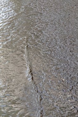 nature around in mangrove forest