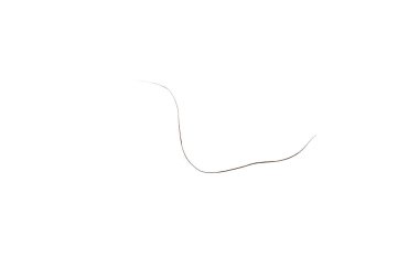 pubic hair fall isolated on white background
