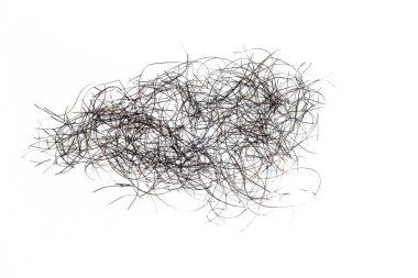 pubic hair fall isolated on white background
