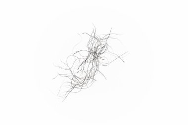 pubic hair fall isolated on white background